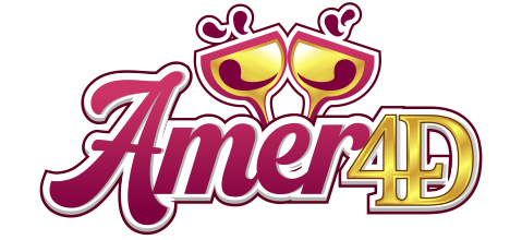 AMER4D Logo